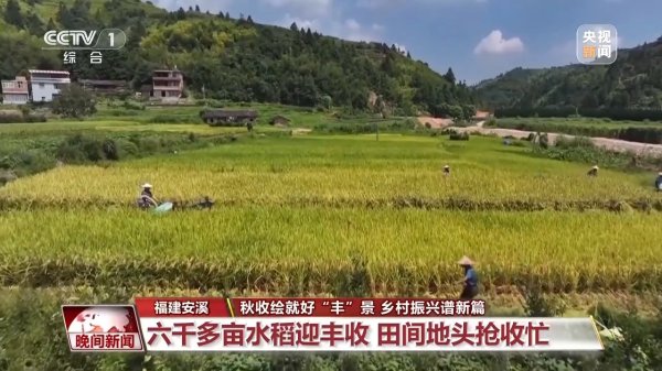郑州配资公司 金秋时节好“丰”景&#32;田间地头抢收忙